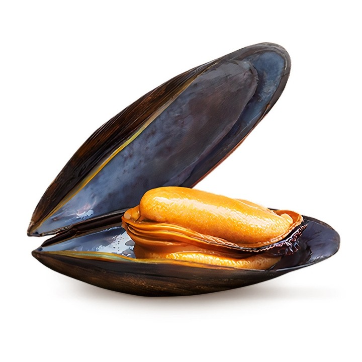 Blue Mussels