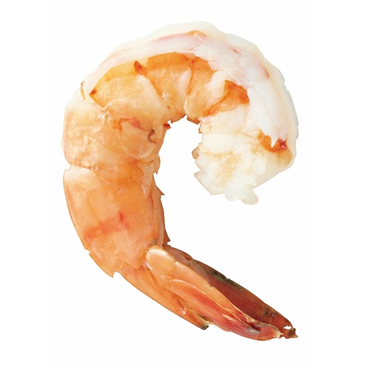 Shrimp (HEAD OFF)