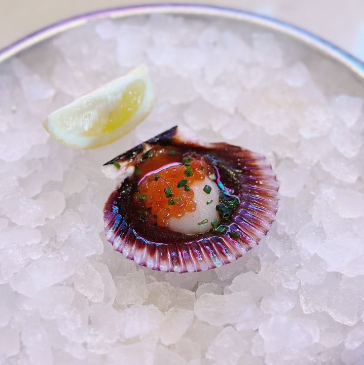 Peruvian Scallop