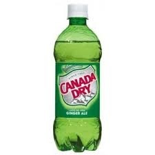 Canada Dry Ginger Ale 20oz