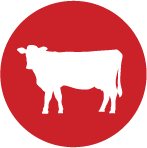 Oberweis Dairy Geneva - Oberweis/That Burger Joint/Woodgrain