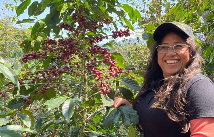 Mexico Mayan Harvest Women's Group