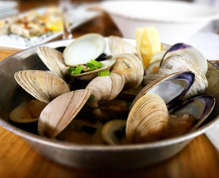 Clams (L)