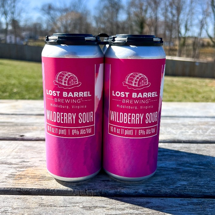 Wildberry Sour Ale 16 oz 4-pack