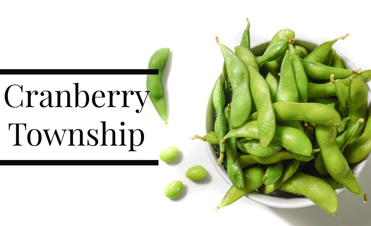 Jimmy Wan's | Cranberry