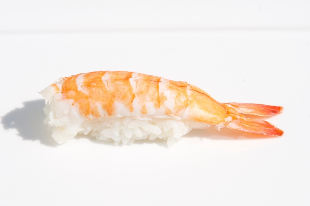 shrimp nigiri