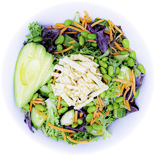 Nihon Salad