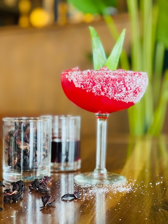 Hibiscus Margarita