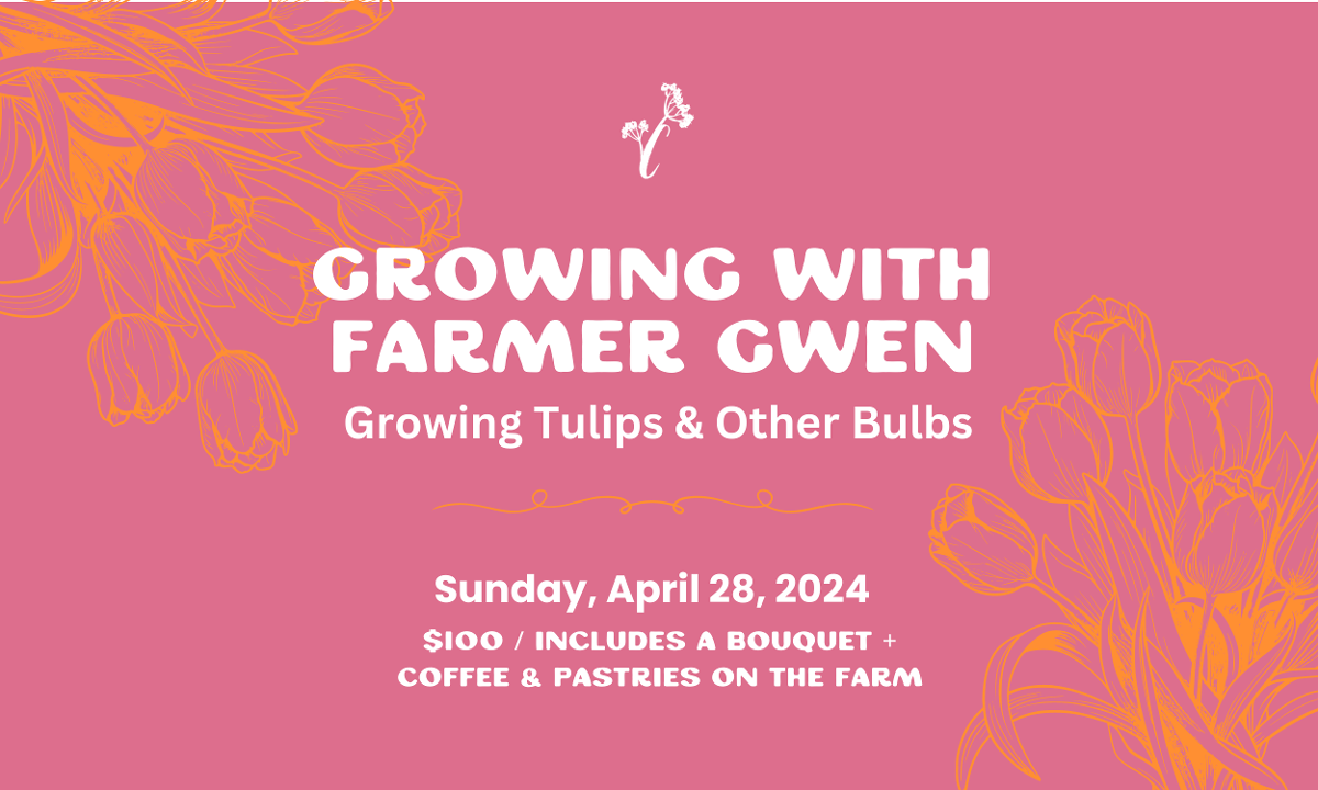 Growing Tulips w/ Farmer Gwen
