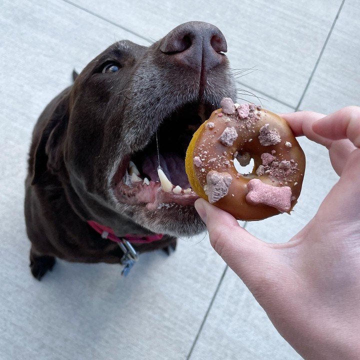 Puppy Dog Donut