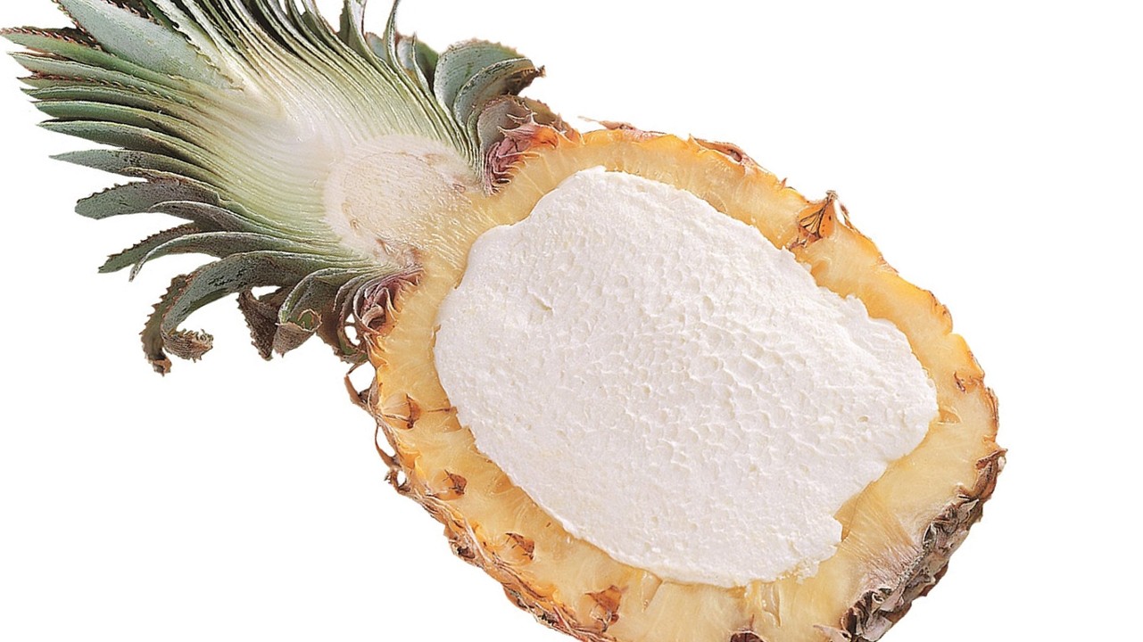 Pineapple Vegan Sorbet