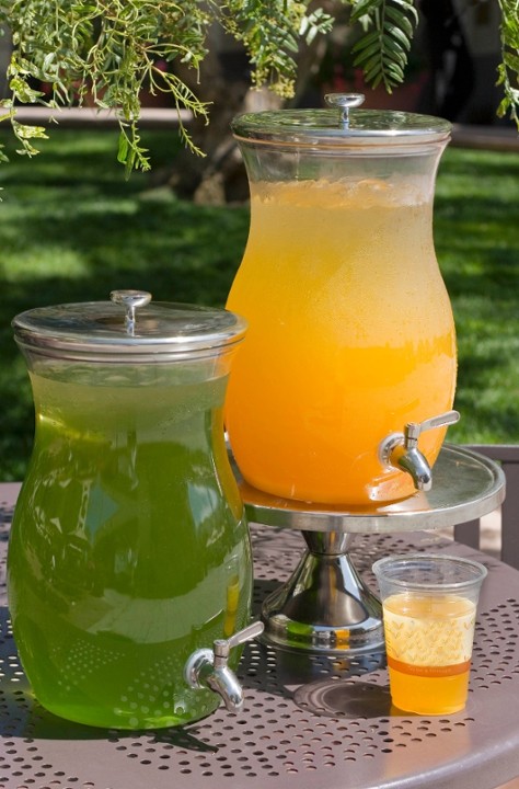 Party Mango Green Tea (Gallon)