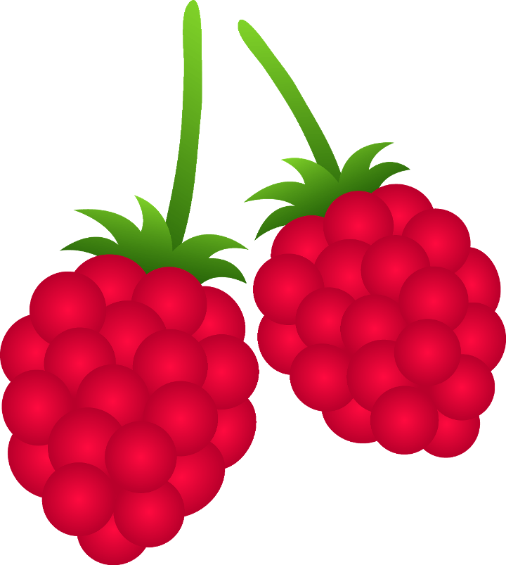 Red Raspberry Sorbet