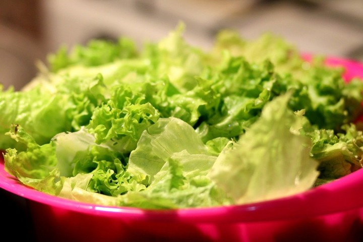 Small Lettuce