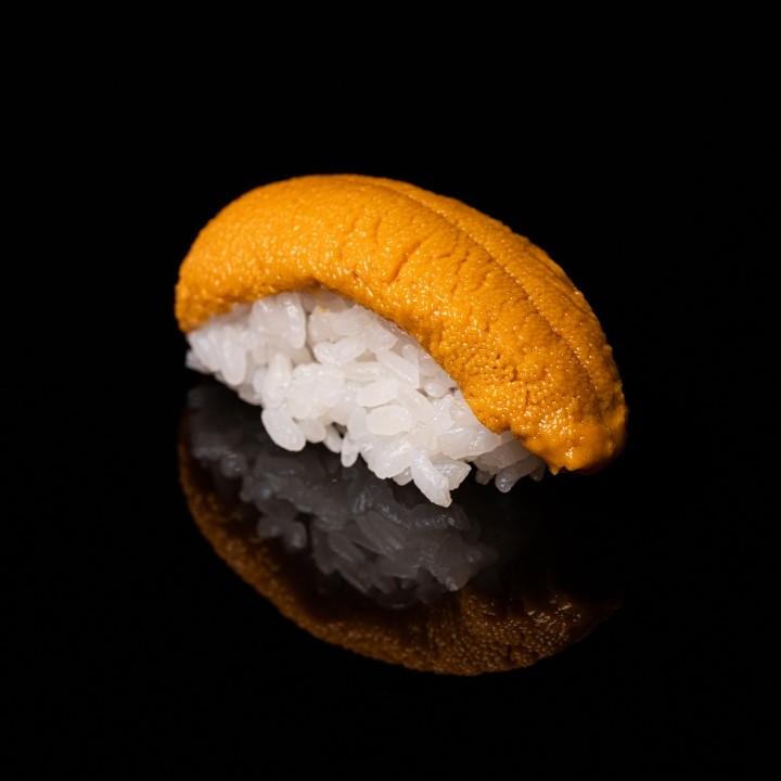 Uni - Sea Urchin