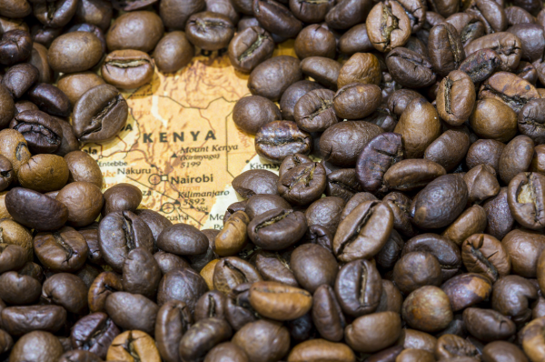India Cherry AA Organic - Single Origin Coffee