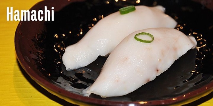 Hamachi Sushi