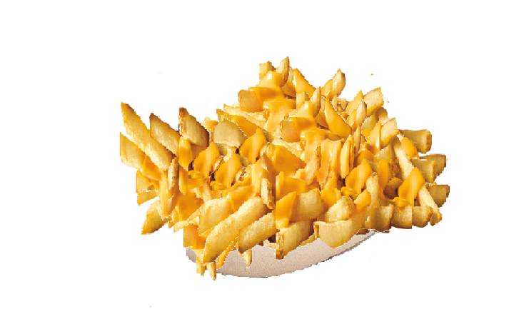 CHEESY FRIES