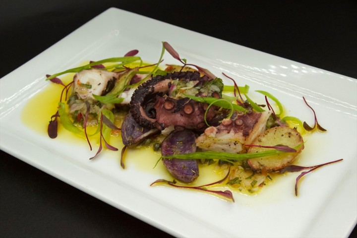 Feature, Grilled Octopus