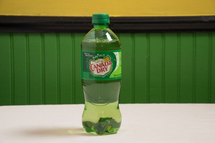 Ginger Ale 20oz