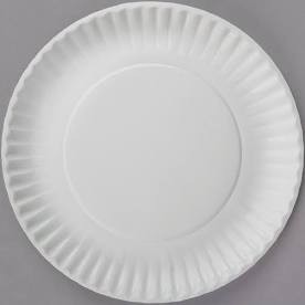 Extra Paper Plate