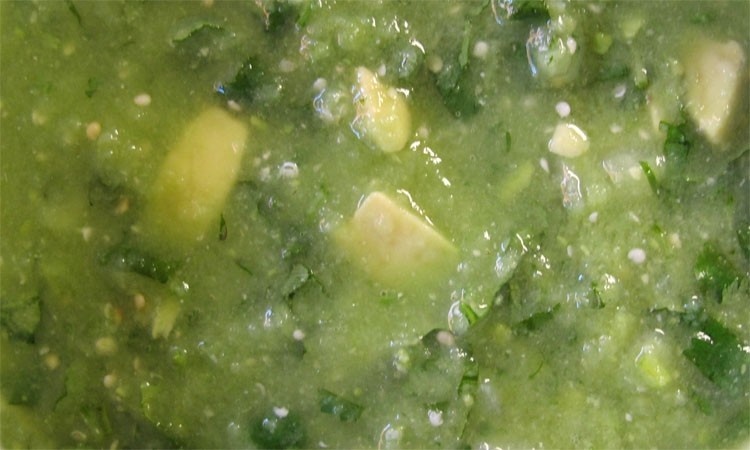 tomatillo/avocado salsa