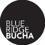 Blue Ridge Kombucha Ginger Hibiscus