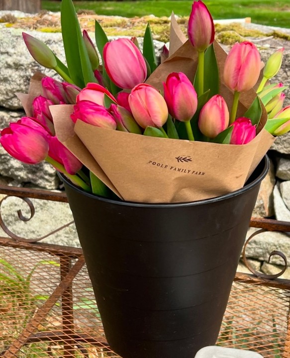 Tulip Bouquet Poole Family