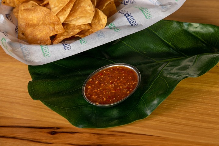 Arbol Salsa