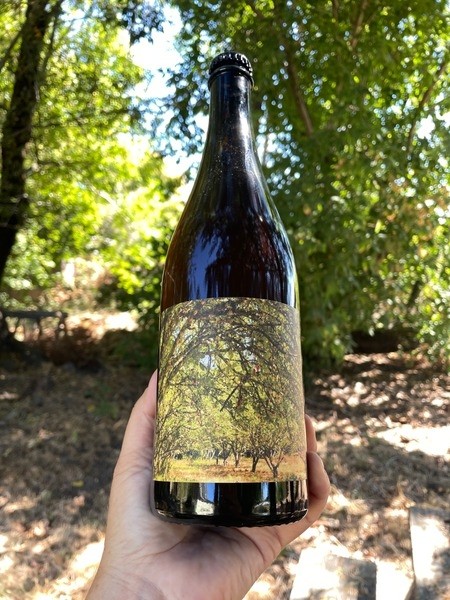 Lost Orchard - Tilted Shed Ciderworks 750ml Bottle