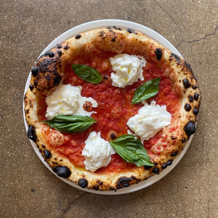 tomato sauce. burrata. basil