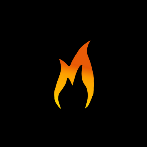 Fuego Mexican Grill LLC