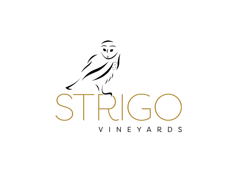 Strigo Vineyard 9272 Plainville Road