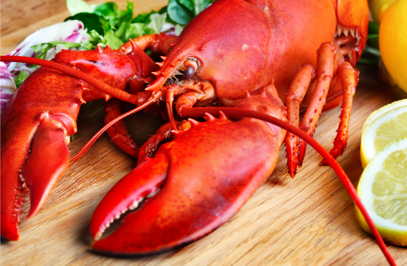 THURSDAY LOBSTER: 1 1/2 lb Maine Lobster - Order Anytime for THURSDAY pickup