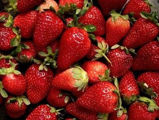 Strawberries/Fresas - Organic