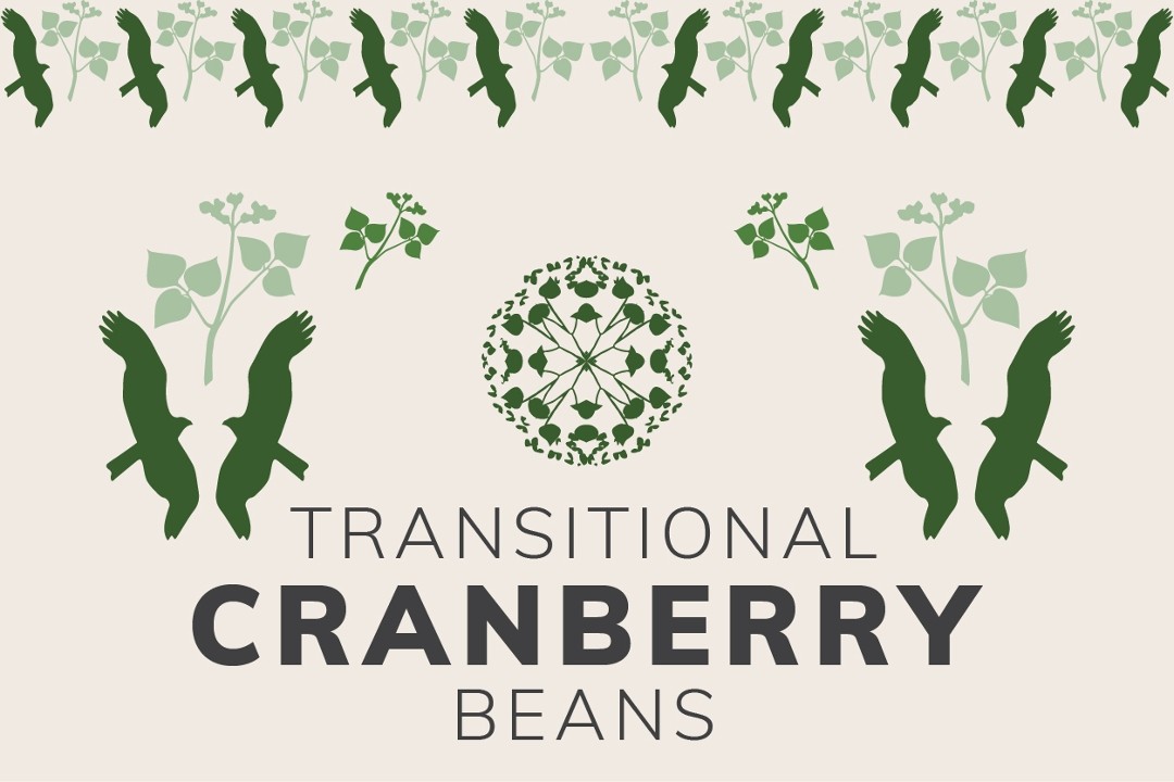Cranberry Beans, 1 lb.