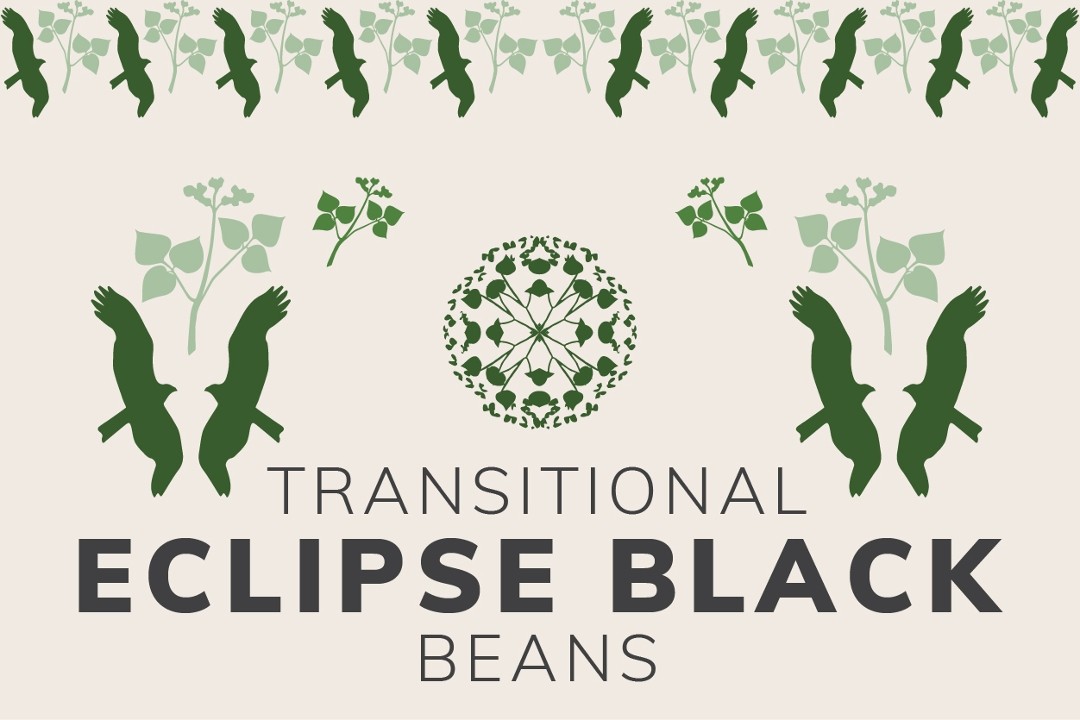 Eclipse Black Beans, 1 lb.
