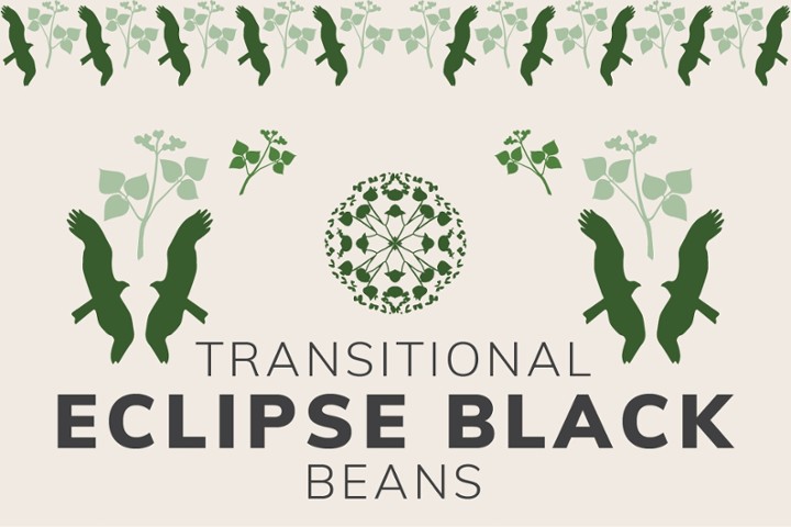 Eclipse Black Beans, 1 lb.