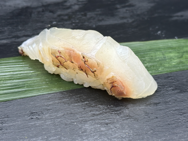 Madai (Sea Bream) Nigiri