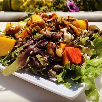 Salad or Bust @ Ivywild