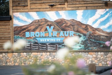 Bron Yr Aur Brewing