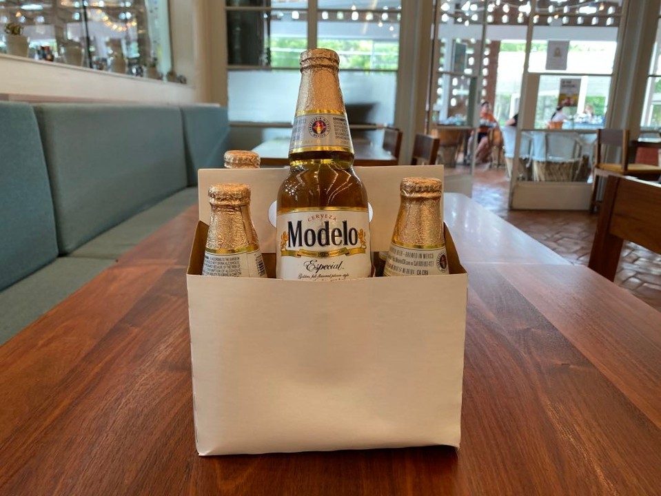 Mexican Beer - 6 pack