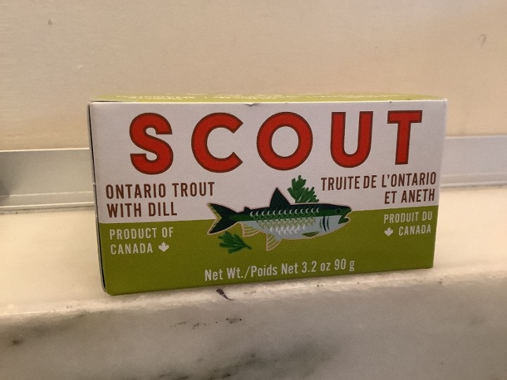 Scout Ontario Trout