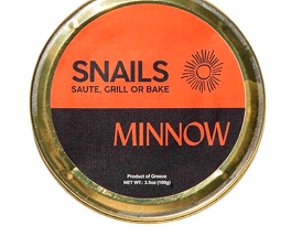 Minnow Snails