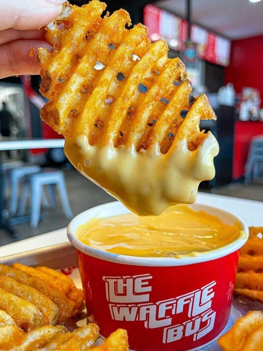 Cheese Fries