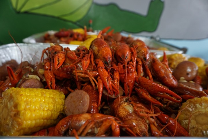 LIVE LOUISIANA JUMBO CRAWFISH