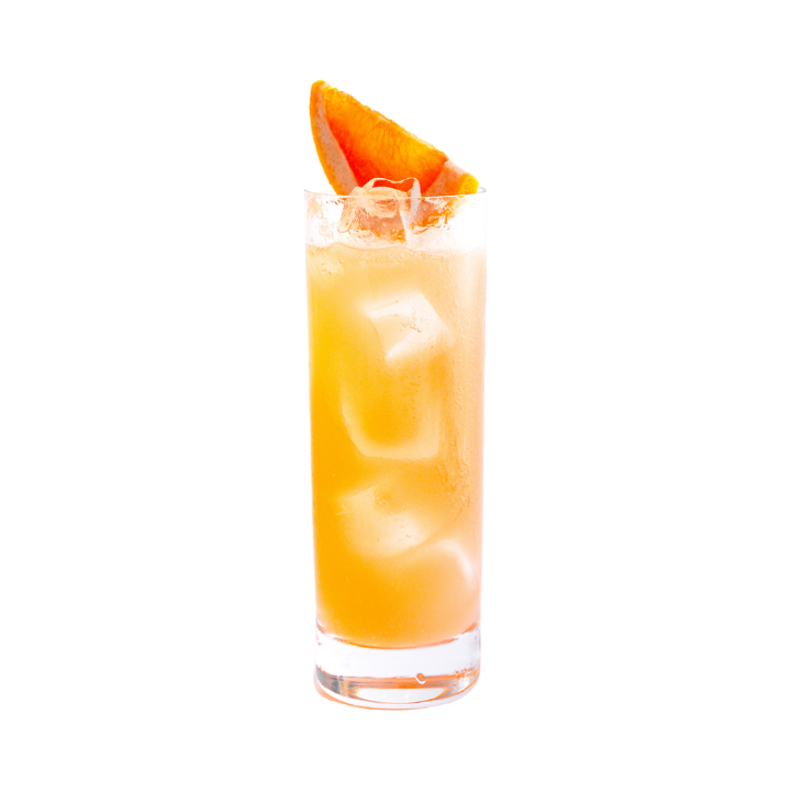 Teller's Paloma