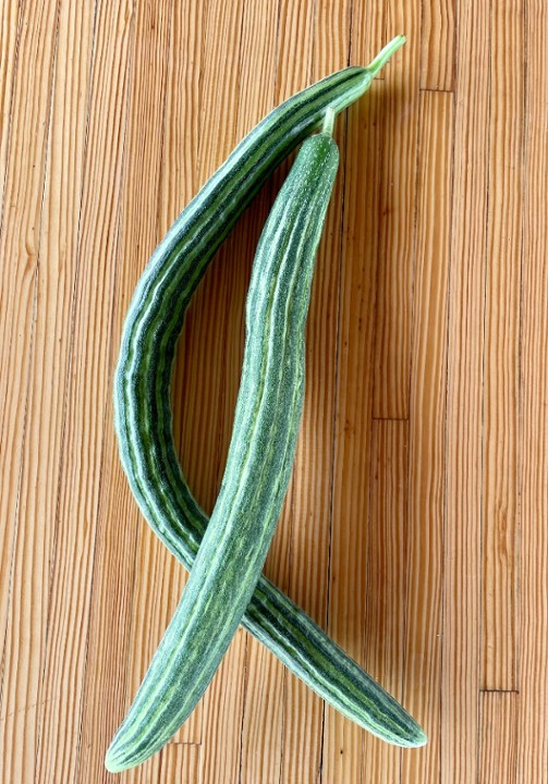 Armenian Cucumber (single)