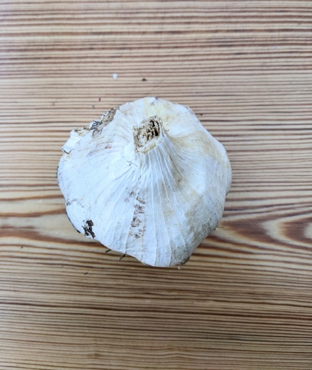 Garlic (head)