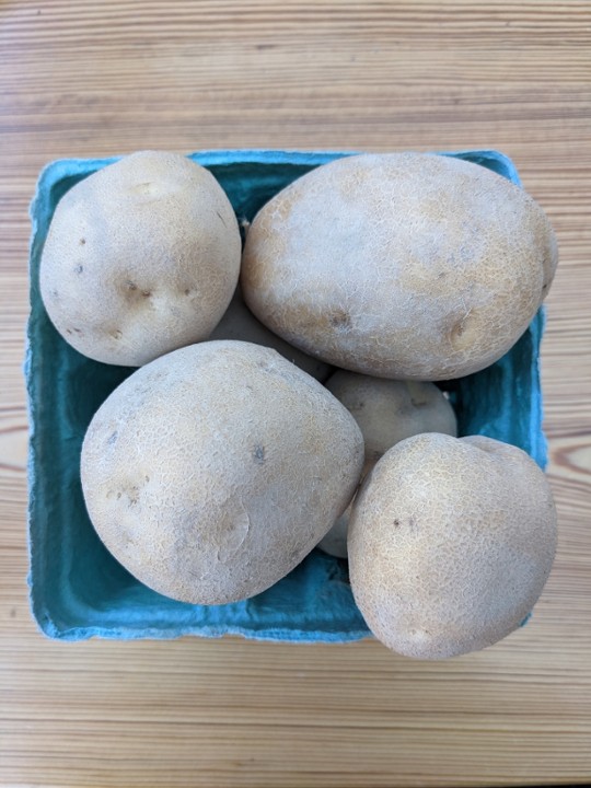 Kennebec White Potato (quart)